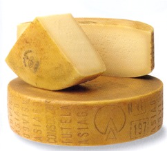asiago allevo