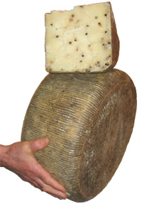 pepato stagionato